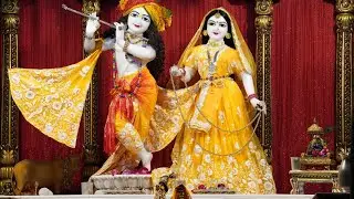 ✨ &ldquo;Max Mauzer&rsquo;s Spiritual Walk &ndash; Live from ISKCONTemple Ghaziabad💕live #short #iskcon #iskcontemple