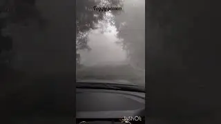 Safe Drive During Foggy Season