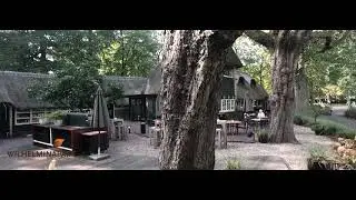 restaurant Wilhelminapark