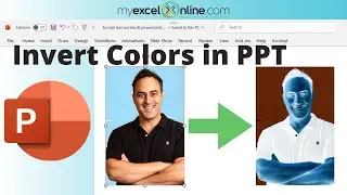 How to Invert&nbsp;Image&nbsp;Color in PowerPoint&nbsp;Fast