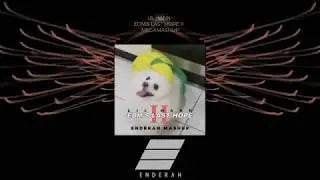 Lil Hank - EDM's Last Hope II (EP Megamashup)