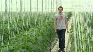 Tuinders Bommelerwaard komen voor niets naar provinciehuis
