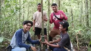 Keseruan Pengambilan Kamera Jebak di Hutan Kalimantan