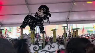 AUSTRALIA&rsquo;S FIRST NATIONAL LION DANCE COMPETITION HIGH POLES - AUSTRALIAN YAU KUNG MUN ASSOCIATION