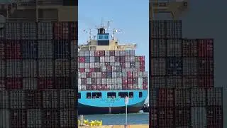 Tugs at Work in Los Angeles Harbor