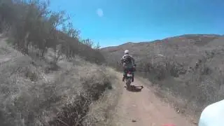 Rowher Flat OHV single track uncut