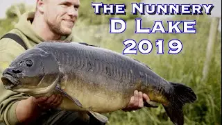 Summer Carp Fishing 2019 - The Nunnery D Lake - NS Fisheries