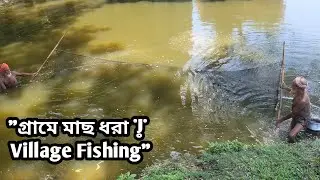 গ্রামবাংলার মাছ ধরা | Bangladeshi Traditional Fishing | #fishing #villagelife #villageintro 