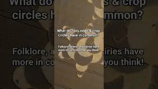 Crop Circles & Fairy Rings || #highstrangeness