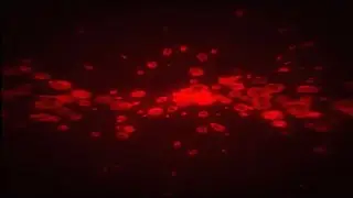 playboi carti - control (slowed + reverb)
