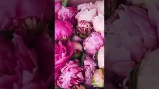 С 8 Марта 2021 Года