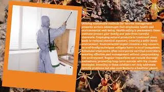 EMK Termite & Pest Control Sydney - Affordable Termite Control Sydney Protects Your Home