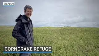 Corncrake refuge