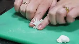 6   Making Under Water Sea weed and Fish with Cassie Brown
