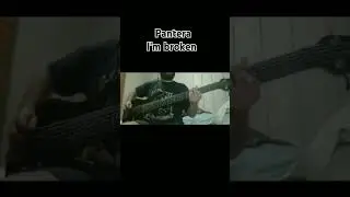 #pantera #metalbass #baixo #contrabaixista #bass #metal #rock #heavymetal #music