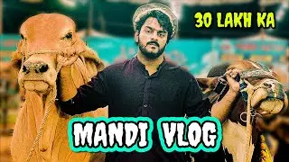 Sohrab Goth Mandi 2021 | Karachi Cow Mandi | Mishkat khan (The Fun Fin) | Prank with People