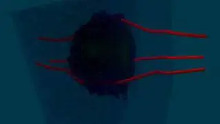video036