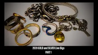 2020 Gold and Silver LIVE Digs: Part 1. Beach Treasure Hunting with the Minelab Equinox 800