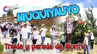 TRAIDA DE MONTE Y PARADA ( Fiesta en Honor al Niño Jesús Muquiyauyo - Jauja)