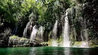 5 Simple Tricks to Instantly Improve Your Focus with Pure Nature Sounds