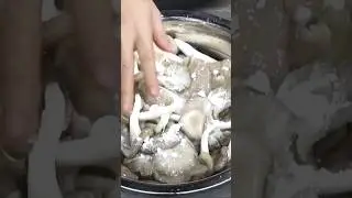 Tips for cleaning mushrooms. #cooking #tips #garden #enjoy #vegetables #mushroom #recipe