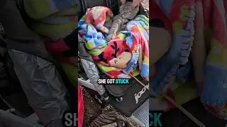 Feeding Homeless Pets #homeless #homelessness #charity #help #sad
