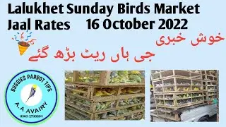 lalukhet Sunday birds market jaal rates 16 October 2022