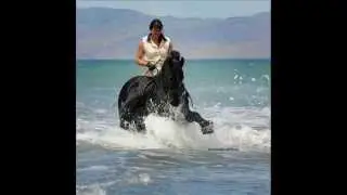 Friesian Stallion Arjen & Claudia Kaiser at the beach.wmv