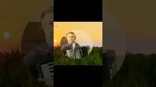 Justysia #10 #accordionplayer #akordeon #bossmusic #nażywo #short #milano #discopolo #zabawa #live
