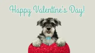 Happy Valentine's Day from GoBank!