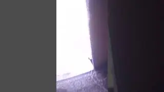 Умаксима
