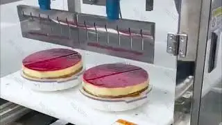 Ultrasonic cake cutting machine