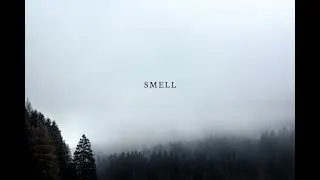 Samuke - Smell