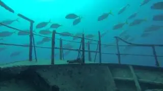 Une petite descente en apn&eacute;e sur le Toho 5