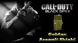 Black Ops 2 Gold Weapon Spotlight - Assault Shield aka Riot Shield - (Tips, Tricks, How To Get Gold)