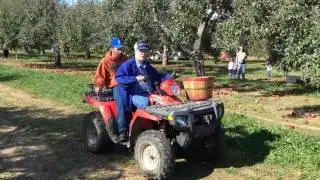Hinegardner Orchard Cider Days