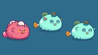 Jumping Poison vs Double Anemone Aqua | Doubletalk Bird