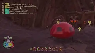 Ladybug vs 2 wolf spiders
