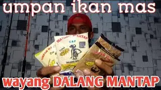 umpan ikan mas dalang mantap || umpan mancing ikan mas harian dan lomba
