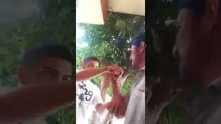 Bromas a Kiko loco