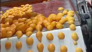 Batasa Machine Wholesaler In Kolkata| 9123343720 batasa Machine|batasha Machine|Full Automatic