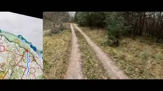 Orienteering 