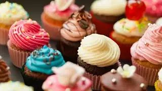 A sweet tooth's dream: The Cupcake Festival is back