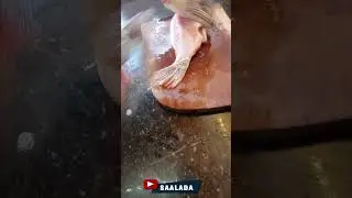 Como fazer sashimi #saalada #cortessaalada