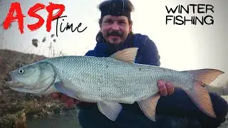 WINTER Fishing for ASP