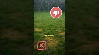 Zimno? Deszcz? A tw&oacute;j trawnik wygląda jak po bitwie?