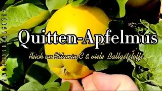 Quitten-Apfelmus selber machen / Selbstversorgung und Einkochen