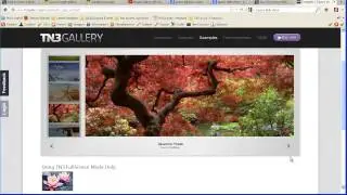 How to find jQuery Plugins