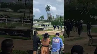 Horse Race in the Gulfstream Racing Park of Miami Florida