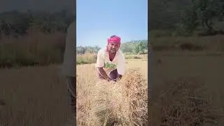 Barabandi bashigala ata koraputia shayari#comedy #koraputia #shayaristatus